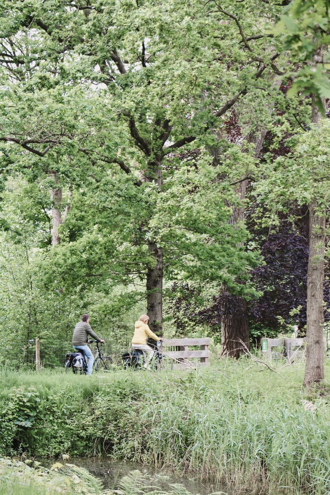 Zoomers Aan Het Bos Castricum Luaran gambar